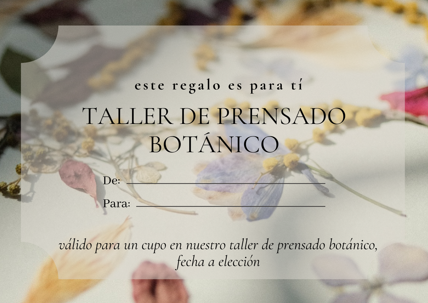 Gift card - regala un cupo en nuestro taller de prensado botánico (Temuco)