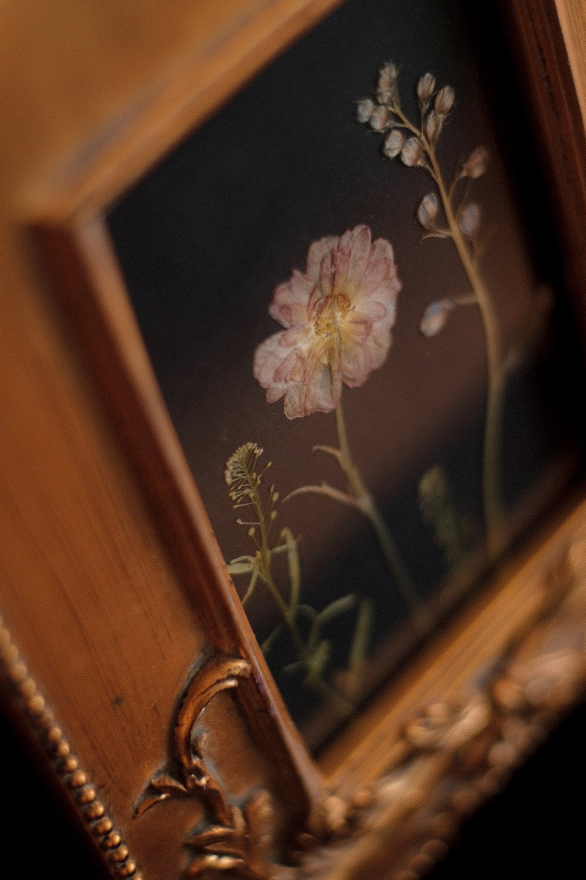Obra III. El lenguaje oculto de las flores