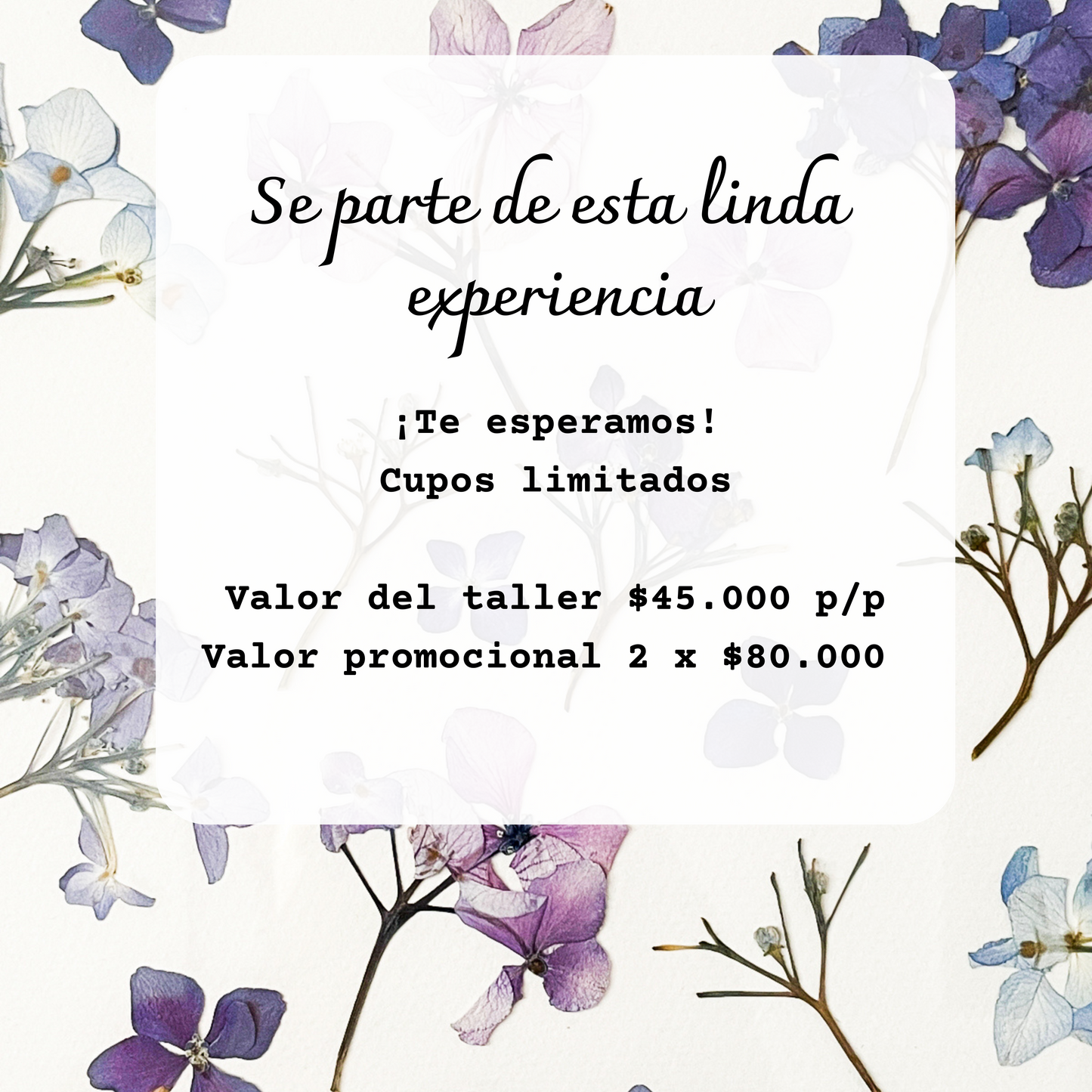 Taller presencial de prensado botánico y arteterapia | 6 de abril, Pucón