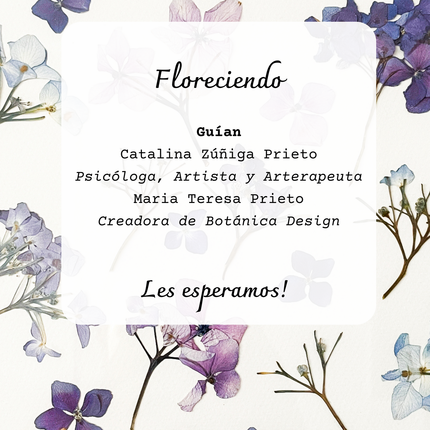 Taller presencial de prensado botánico y arteterapia | 6 de abril, Pucón