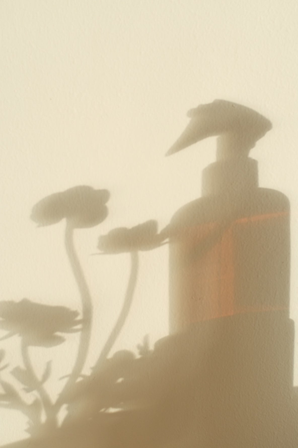 Florecer | aromatizador ambiental y textil (flores blancas y té verde)