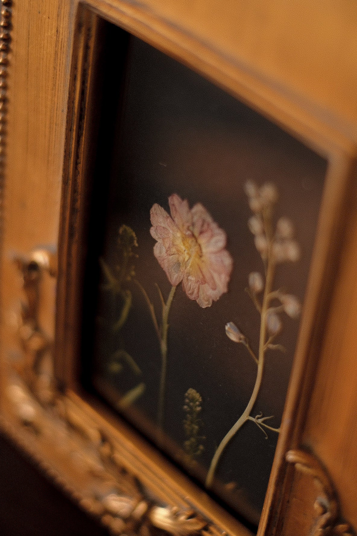 Obra III. El lenguaje oculto de las flores