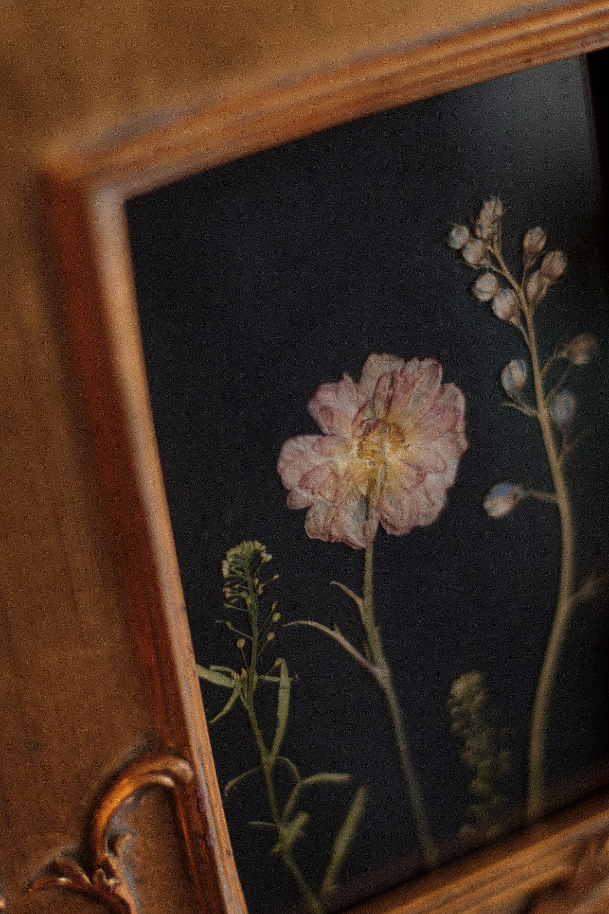 Obra III. El lenguaje oculto de las flores