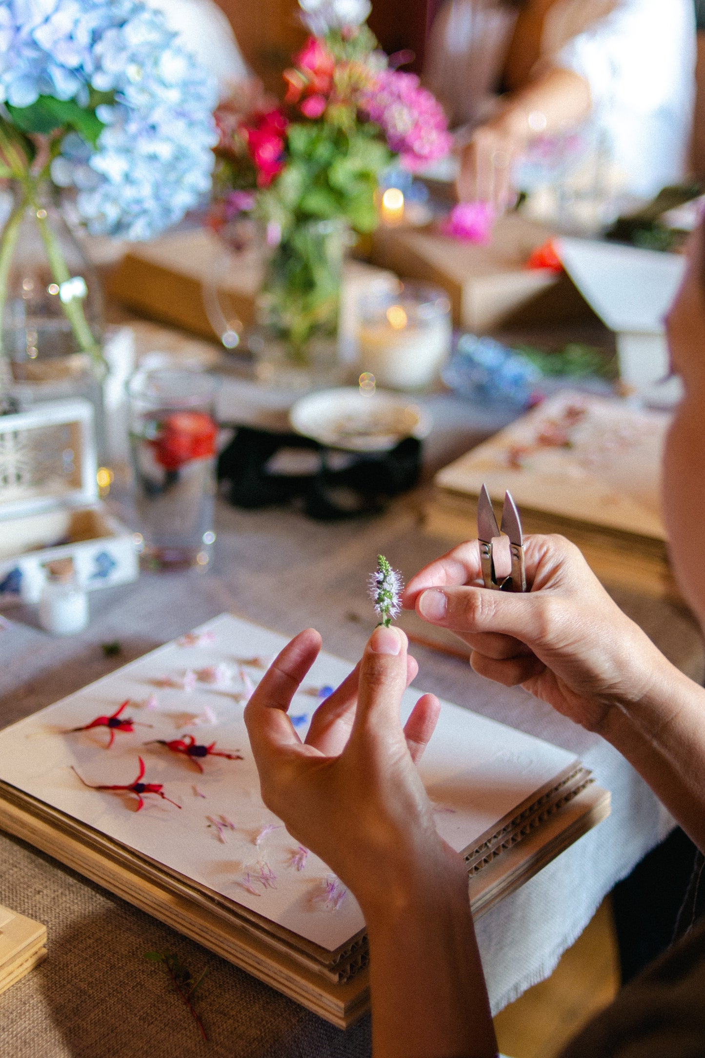 Taller presencial de prensado botánico y arteterapia | 6 de abril, Pucón
