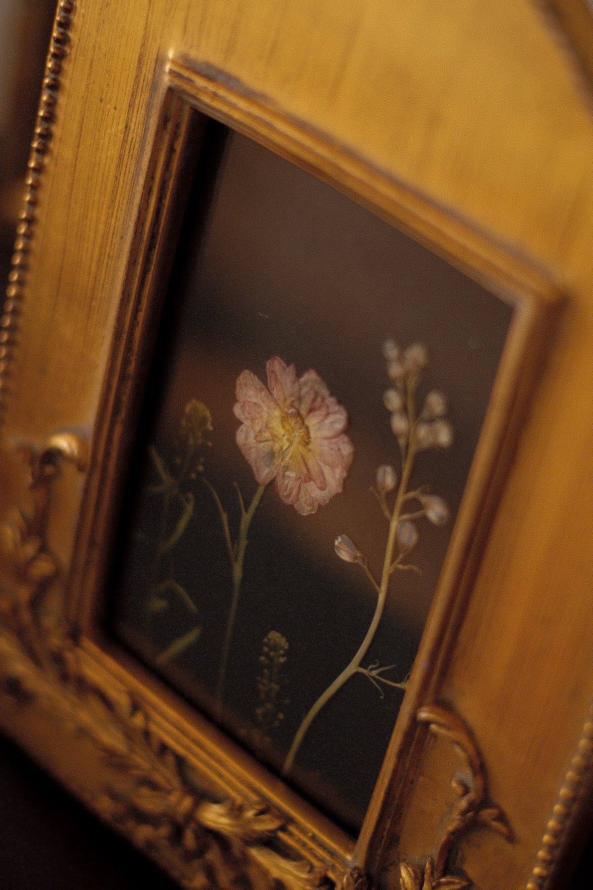 Obra III. El lenguaje oculto de las flores