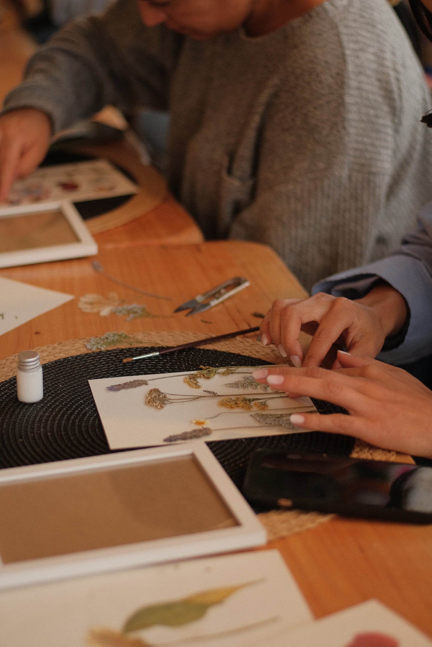 Taller presencial de prensado botánico | sábado 31 de mayo, Temuco