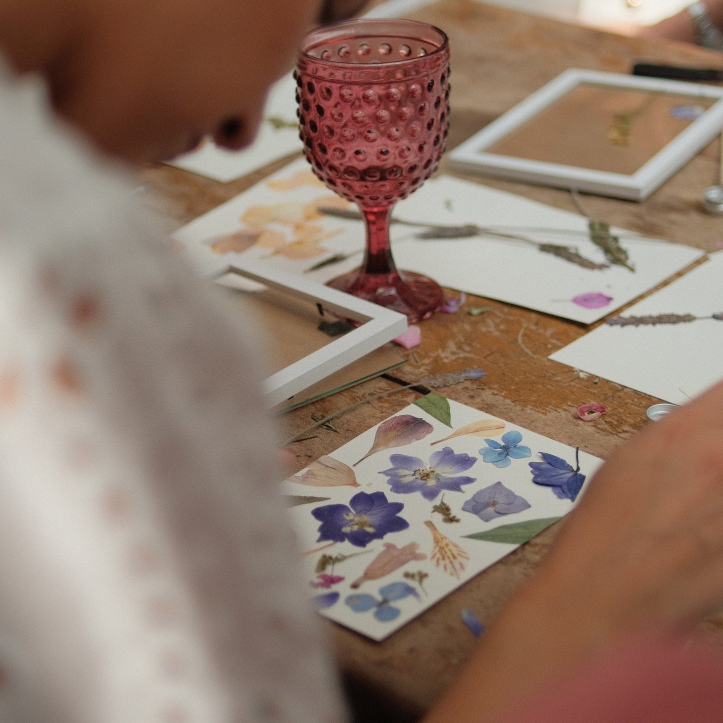 Taller presencial de prensado botánico | sábado 25 de octubre, Temuco