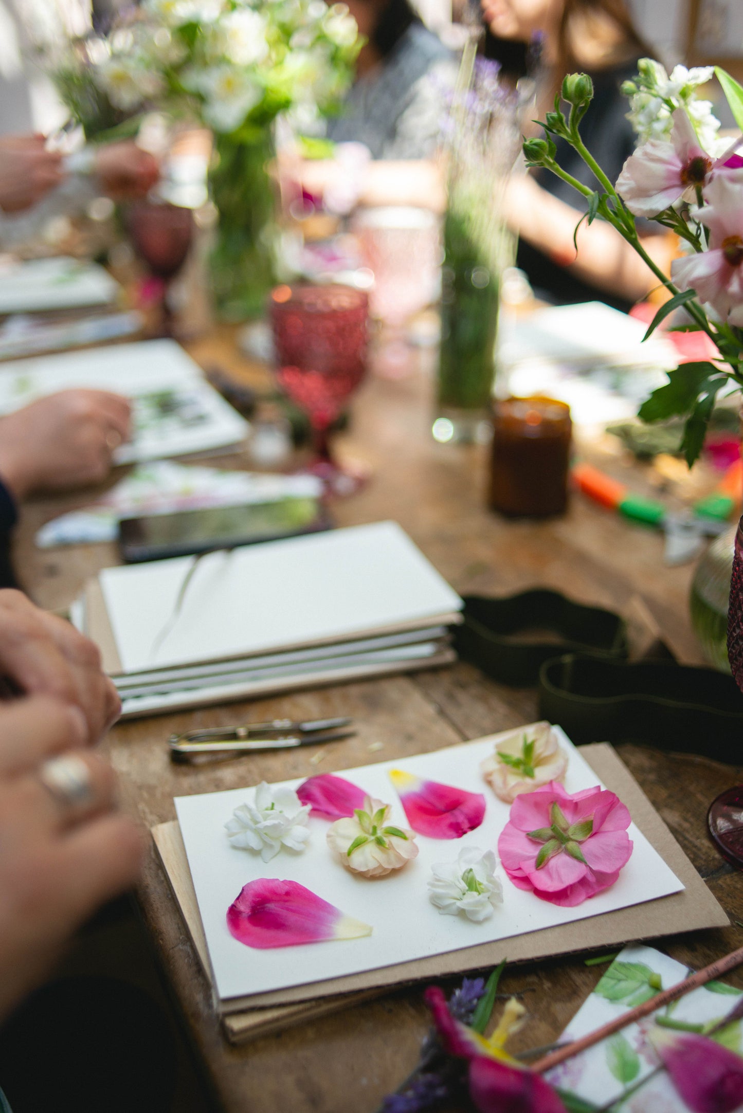 Taller presencial de prensado botánico | 23 de marzo, Vitacura