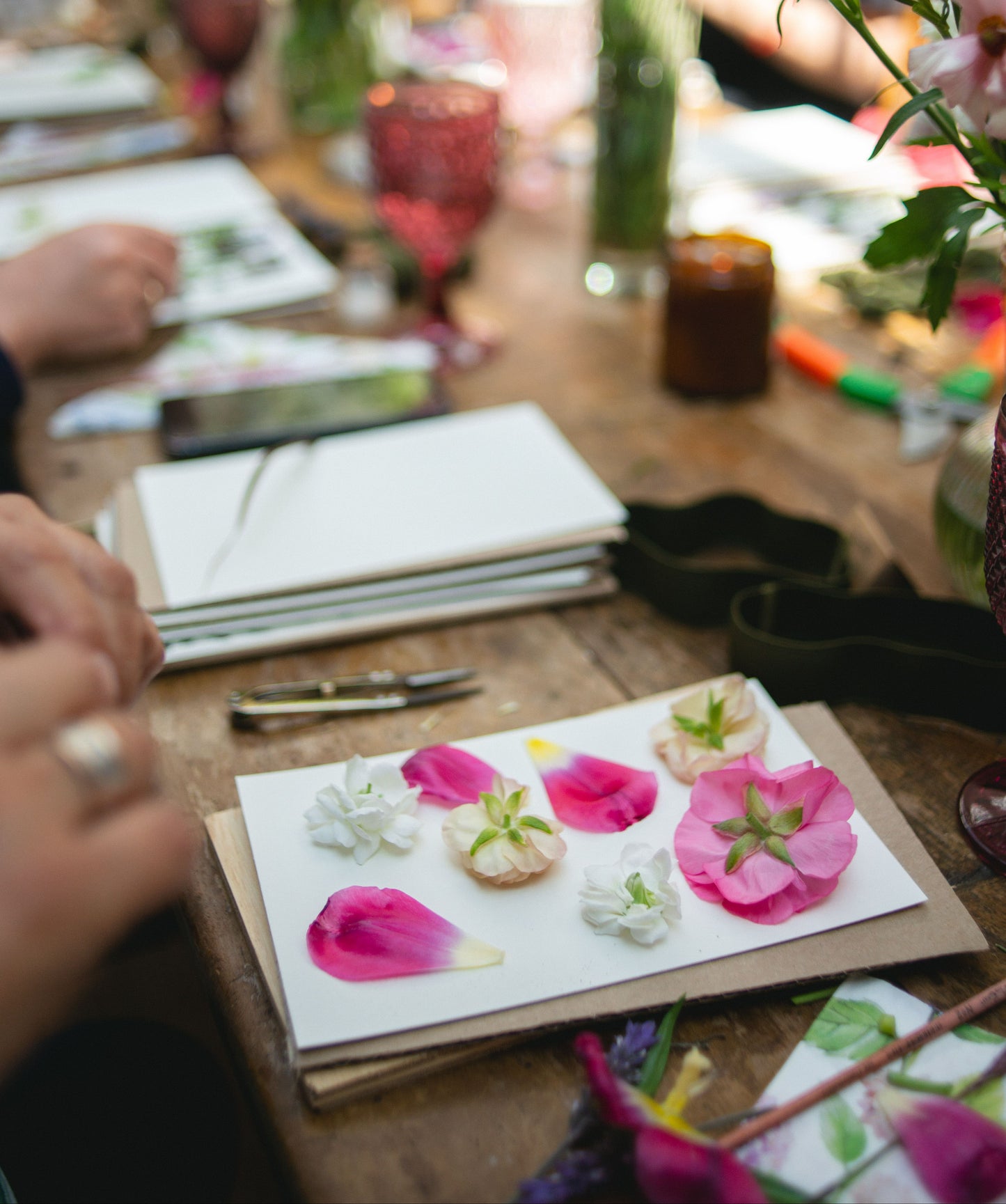 Lista de espera: Taller Online de Prensado Botánico