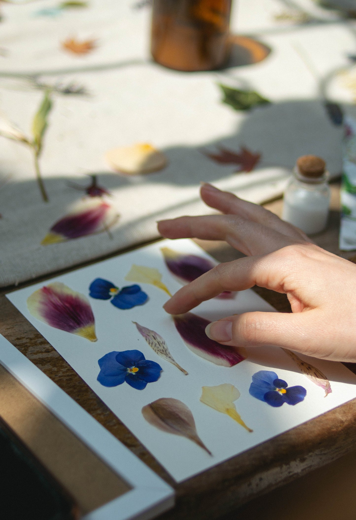 Taller presencial de prensado botánico | 23 de marzo, Vitacura