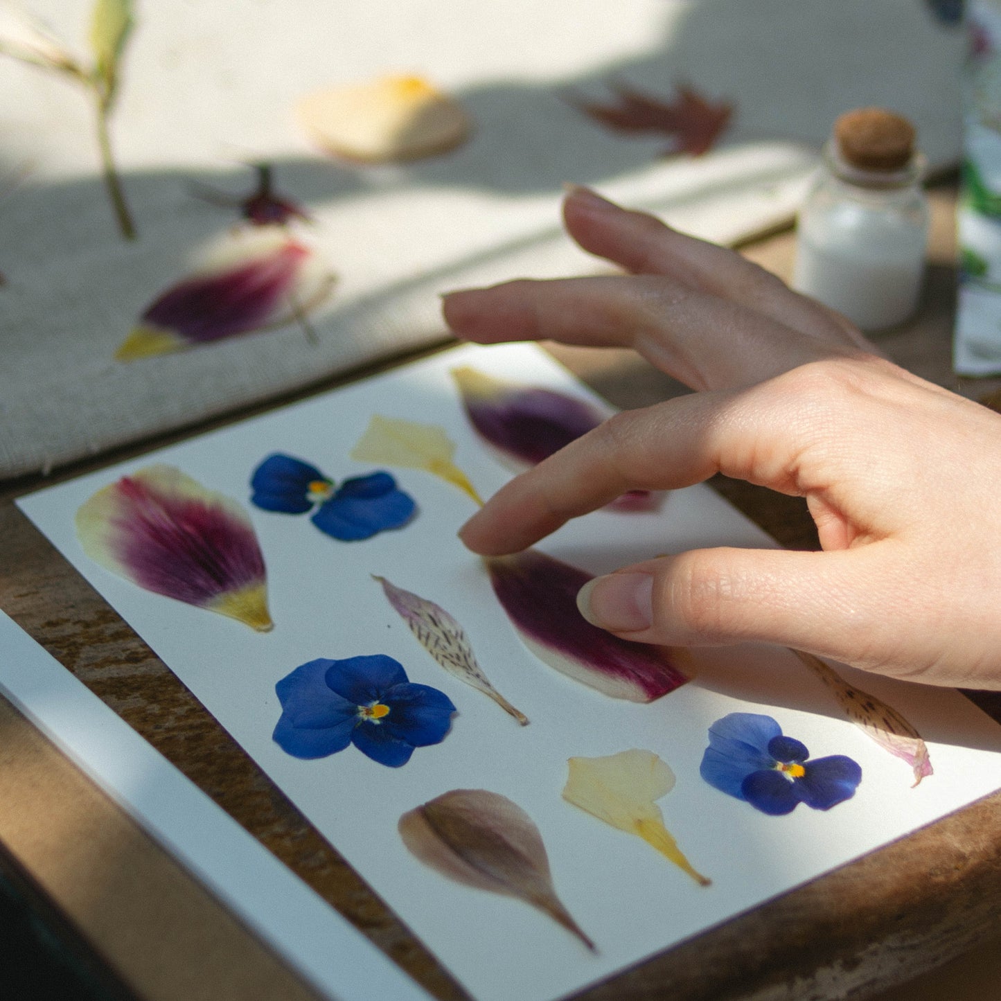 Taller presencial de prensado botánico | 27 de julio, Vitacura
