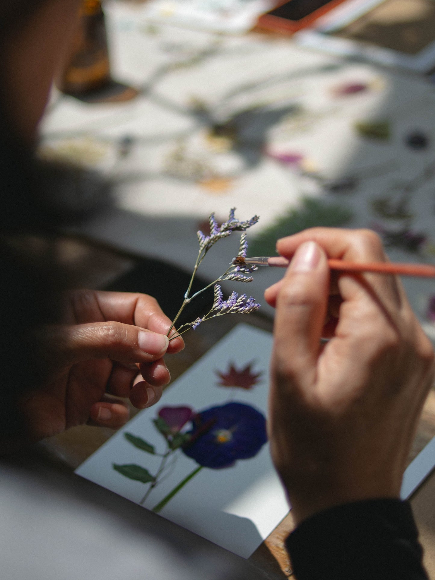 Taller presencial de prensado botánico | 23 de marzo, Vitacura