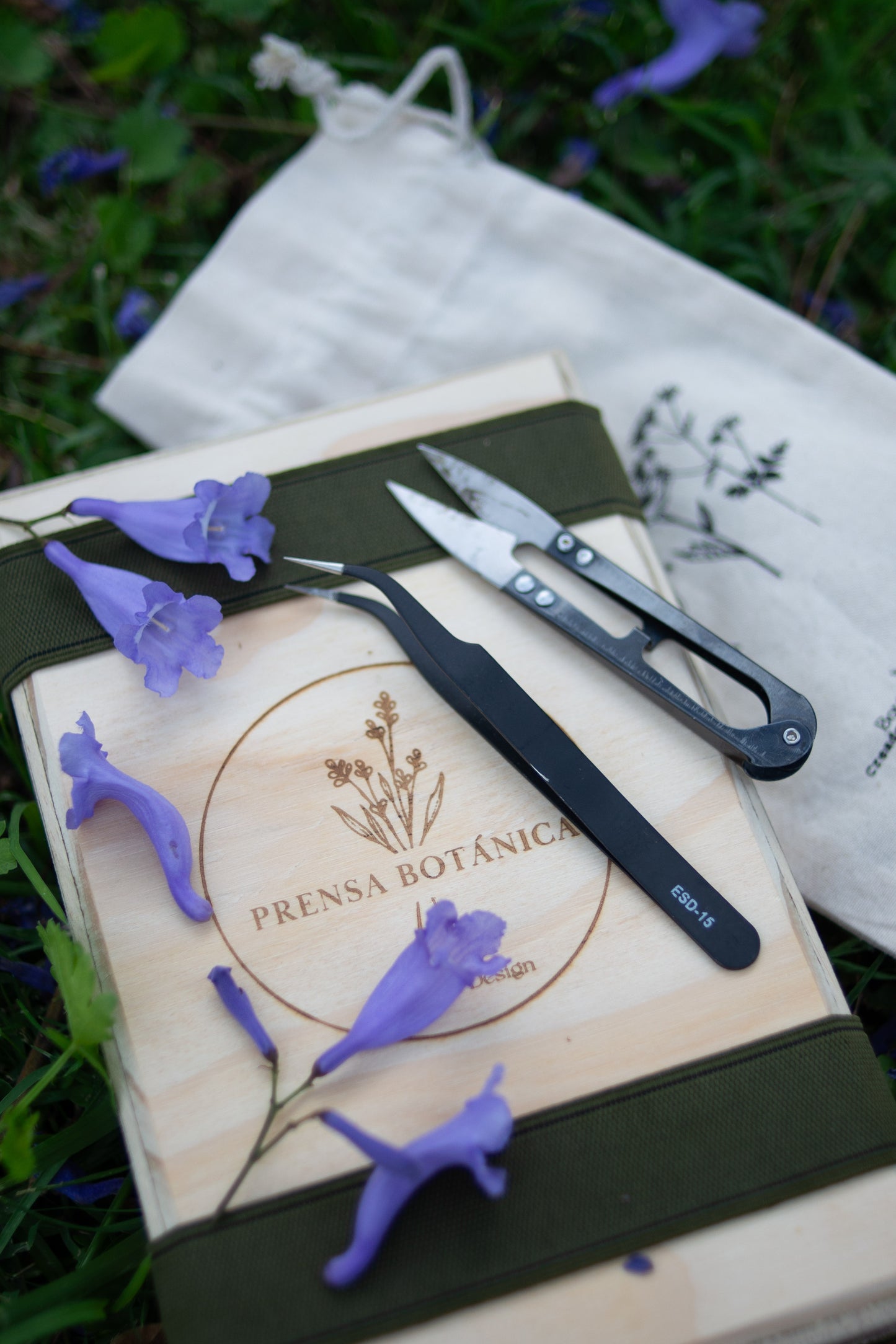 Kit de prensado botánico (prensa pequeña)