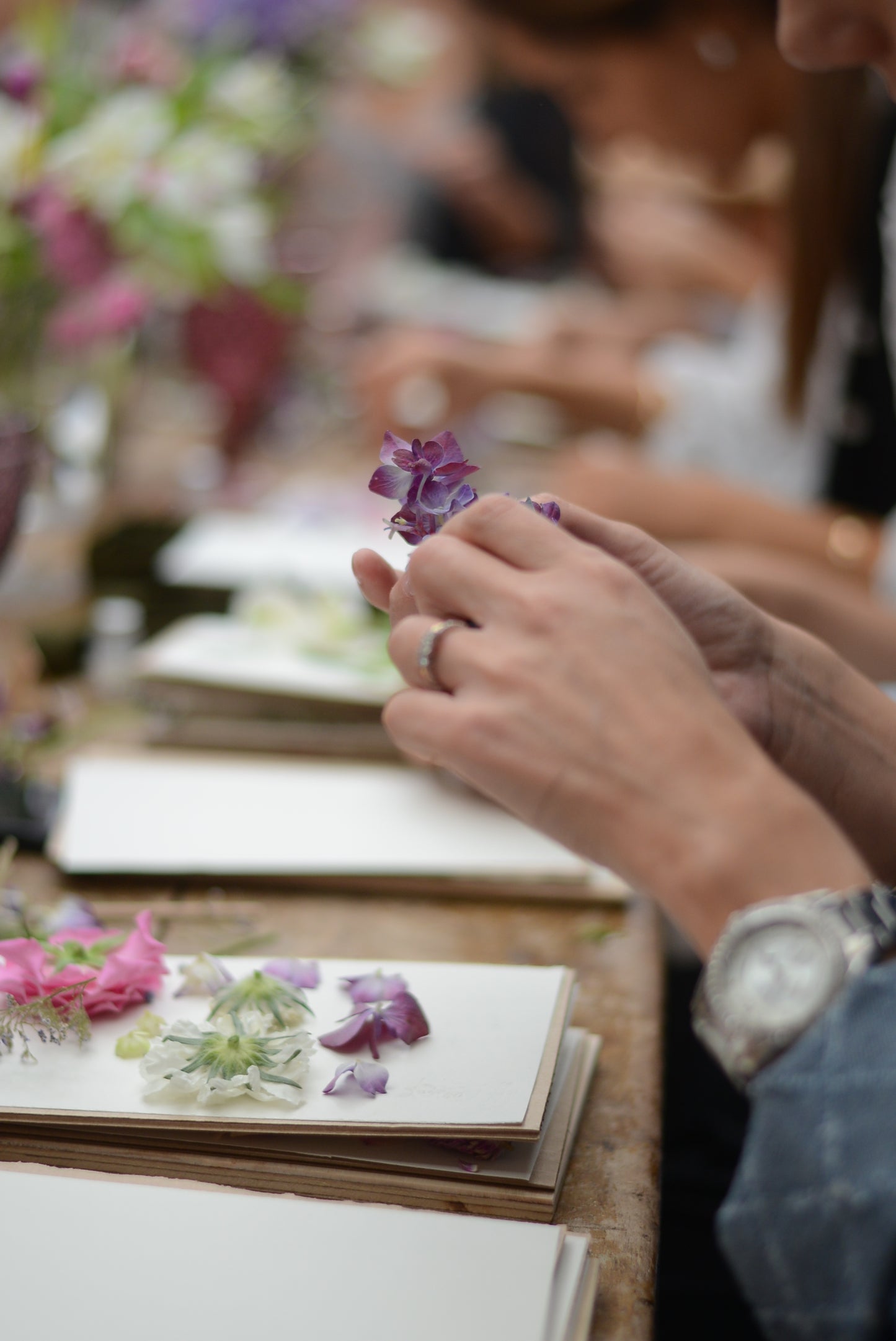 Taller presencial de prensado botánico | sábado 31 de mayo, Temuco