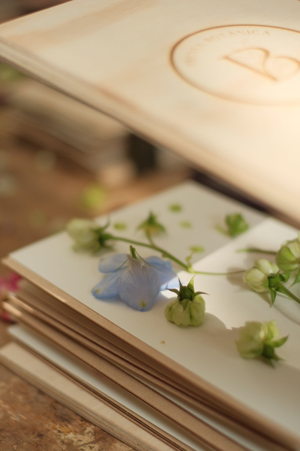 Taller presencial de prensado botánico | sábado 19 de julio, Vitacura