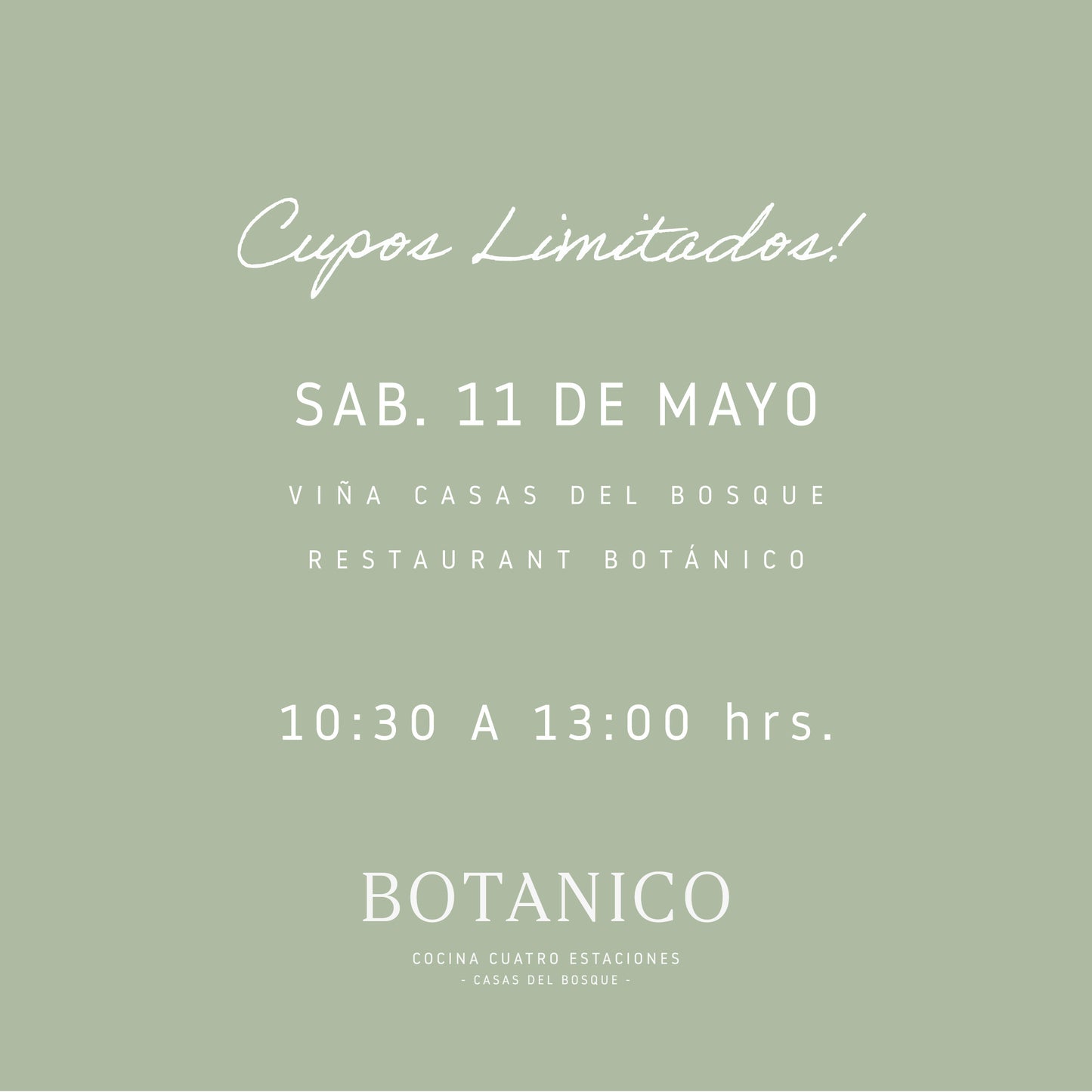 Taller de prensado botánico | Experiencia especial día de la madre | Viña Casas del Bosque