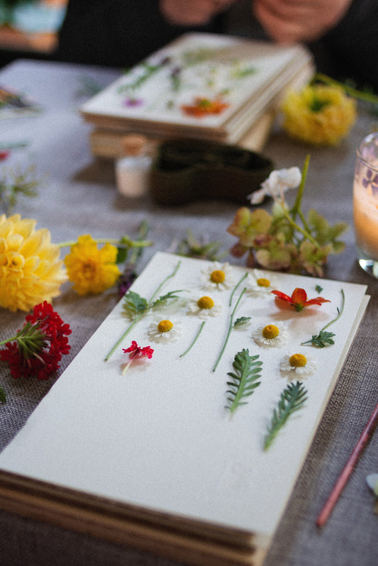 Guía completa del prensado botánico en Chile