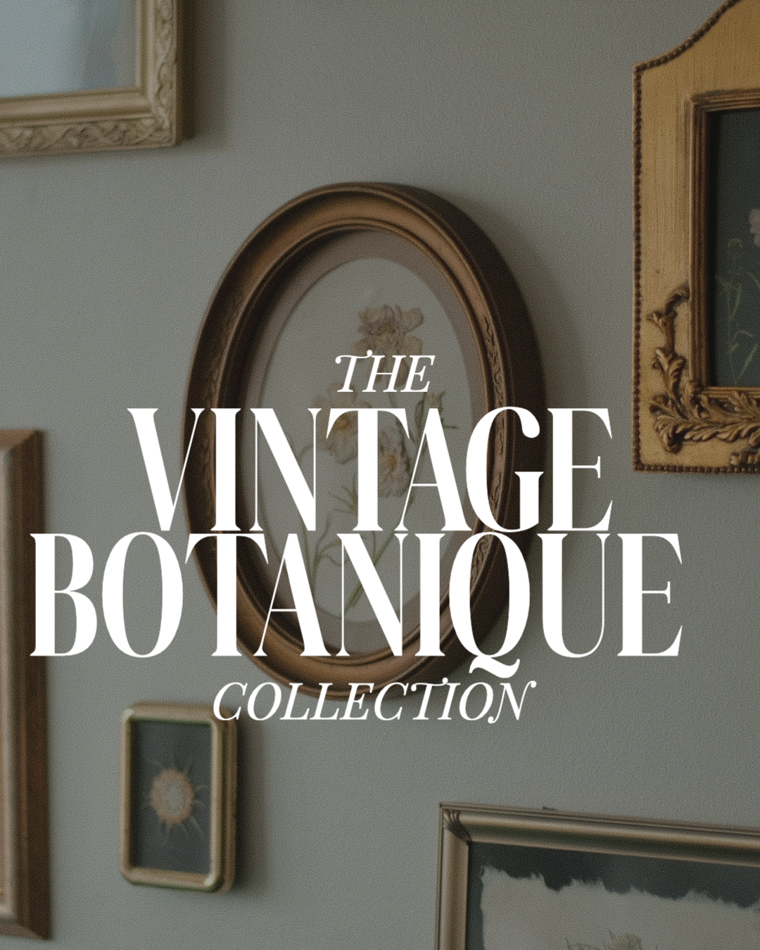 The Vintage Botanique Collection