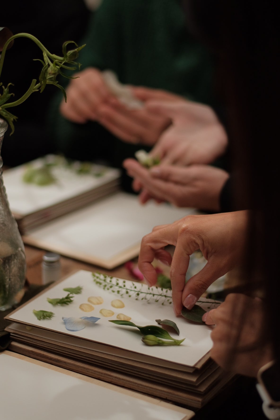 Taller de prensado botánico | 9 de mayo especial día de la madre | Viña Casas del Bosque
