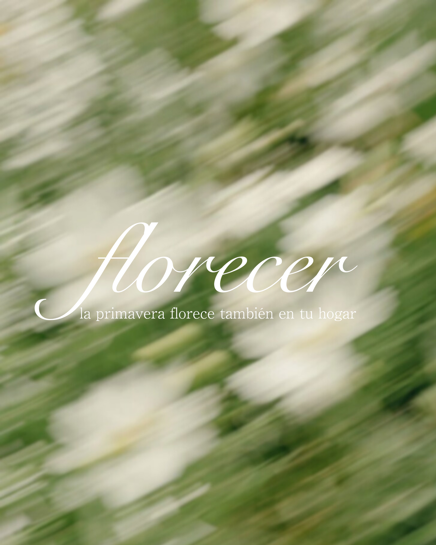 Florecer | aromatizador ambiental y textil (flores blancas y té verde)