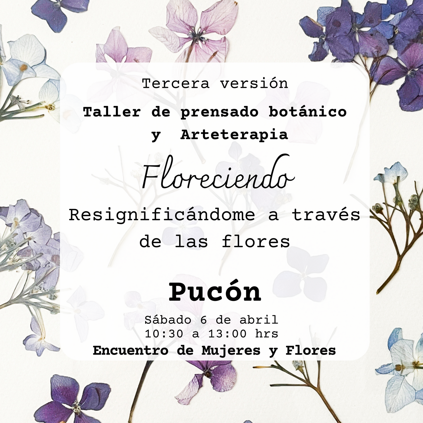 Taller presencial de prensado botánico y arteterapia | 6 de abril, Pucón