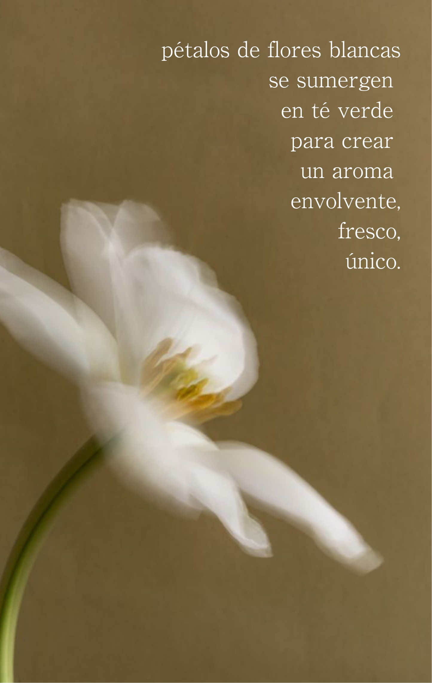 Florecer | aromatizador ambiental y textil (flores blancas y té verde)