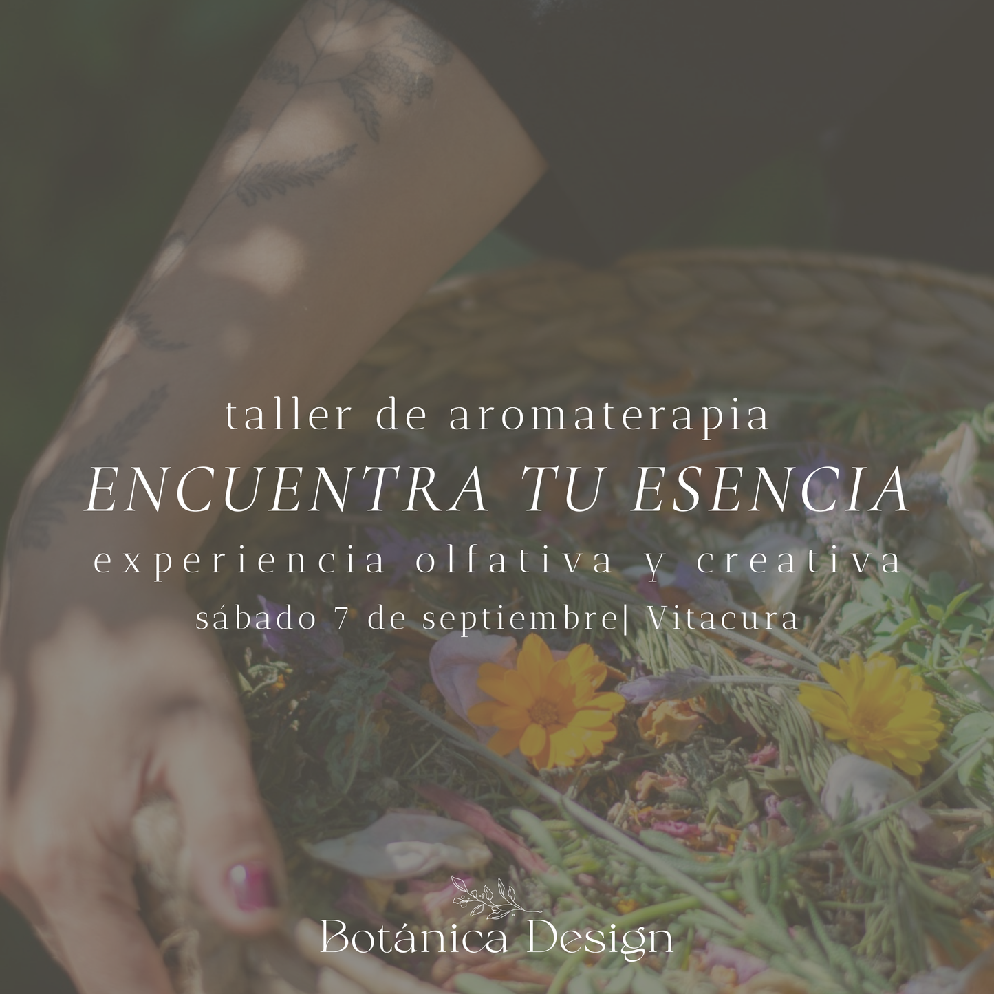 Taller de aromaterapia, experiencia olfativa y creativa | 16 de noviembre, Vitacura