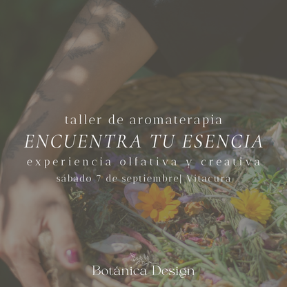 Taller presencial de aromaterapia | Encuentra tu esencia - experiencia olfativa y creativa | Vitacura