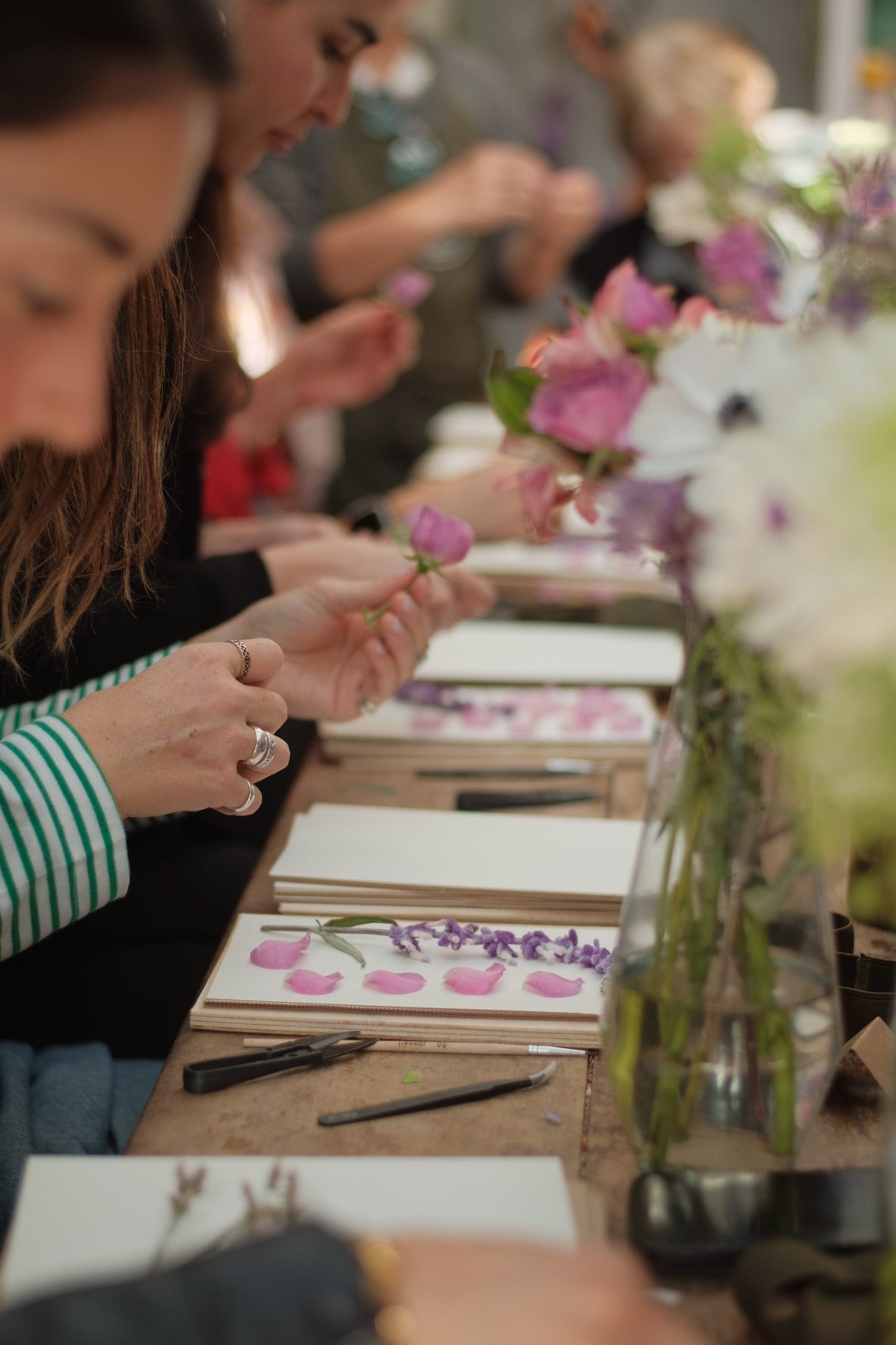 Taller de prensado botánico | 9 de mayo especial día de la madre | Viña Casas del Bosque