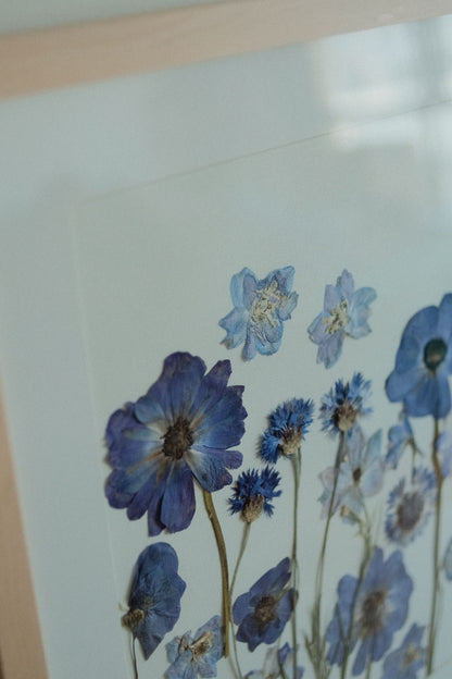 Melodía azul | flores prensadas enmarcadas en Mañío