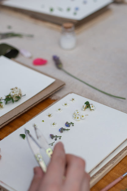 Taller presencial de prensado botánico | Sábado 22 de junio, Temuco
