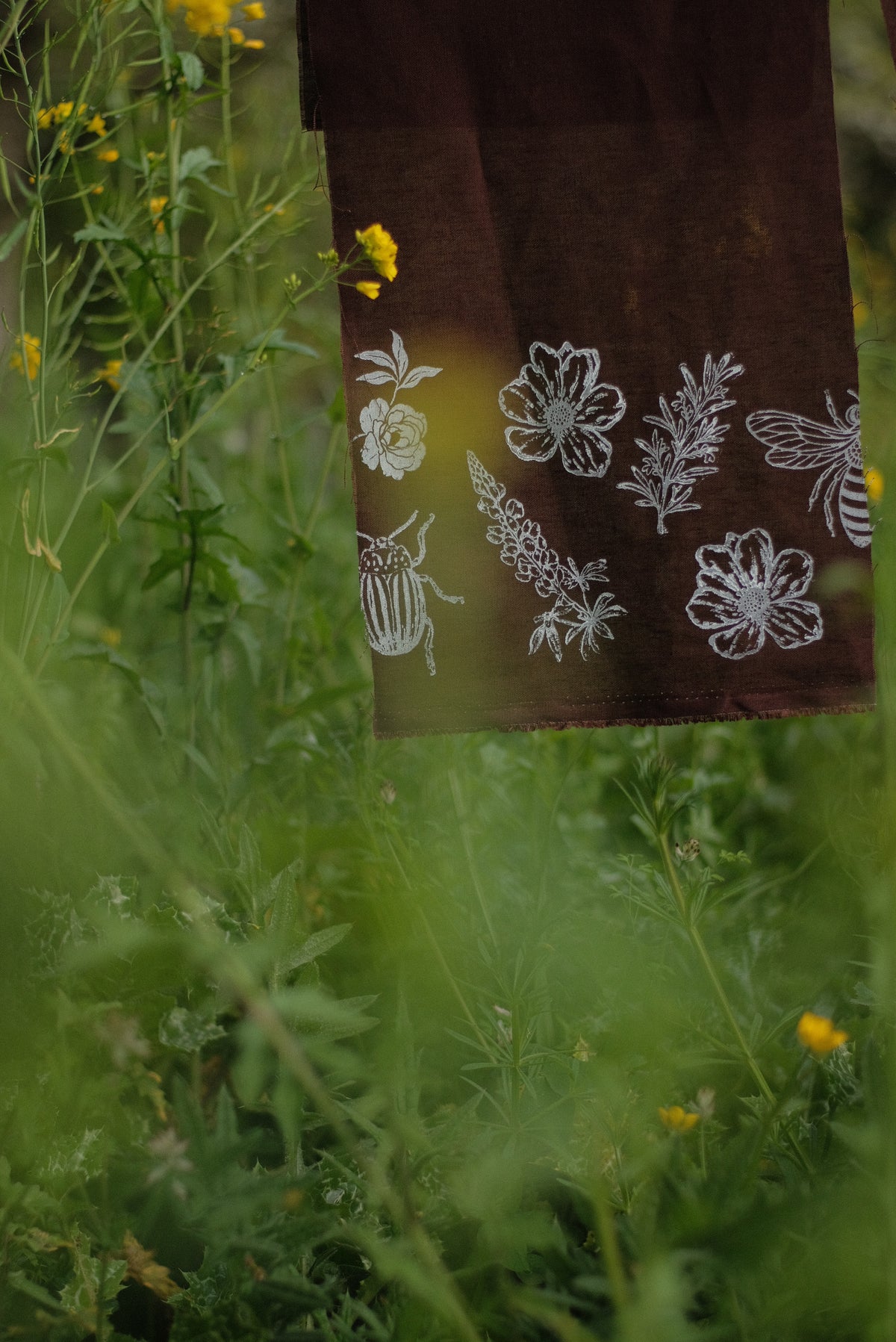 Taller presencial de estampado botánico | sábado 24 de octubre, Llanquihue