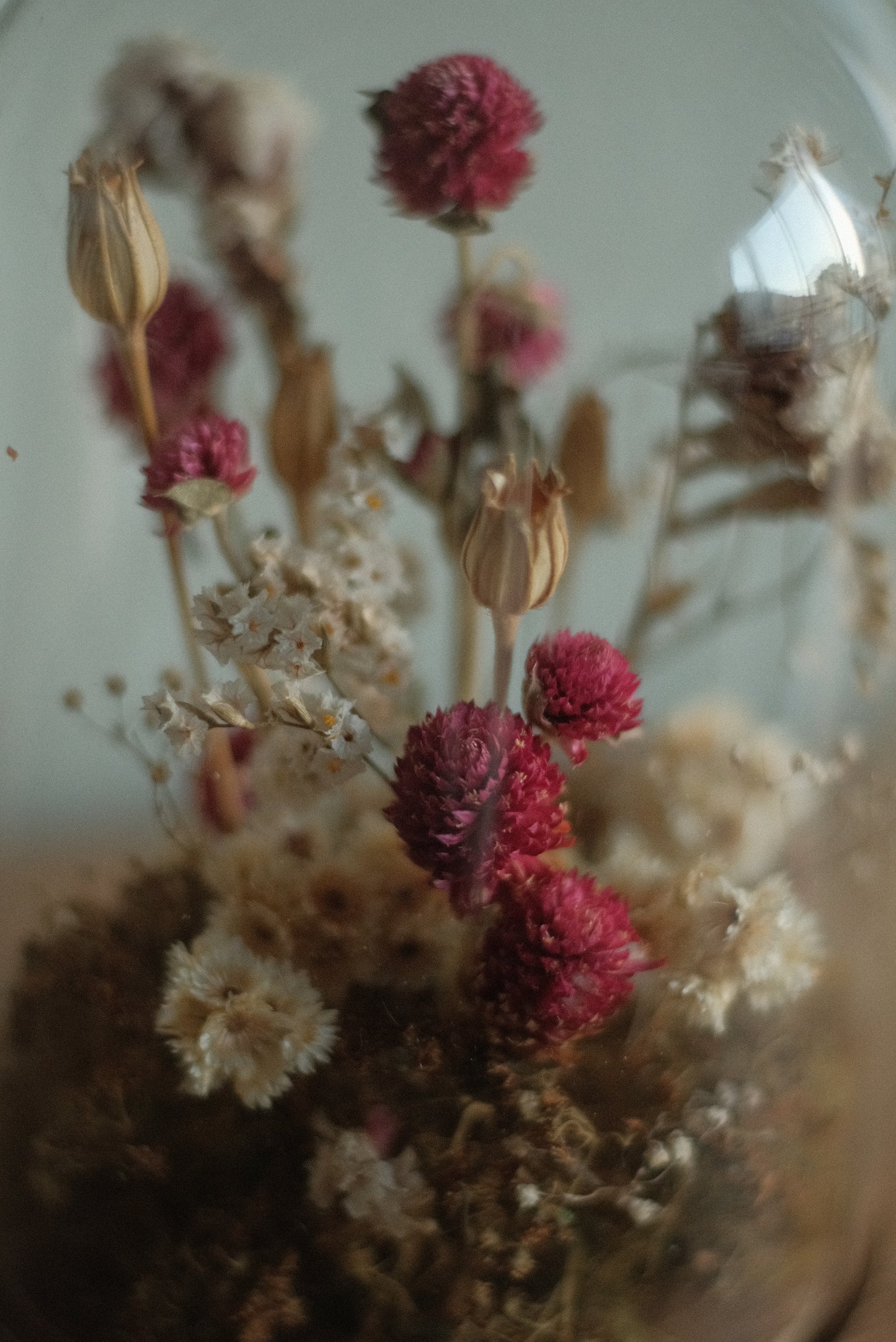 Eterno jardín - fanal de flores preservadas