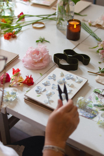 Prensa botánica mediana