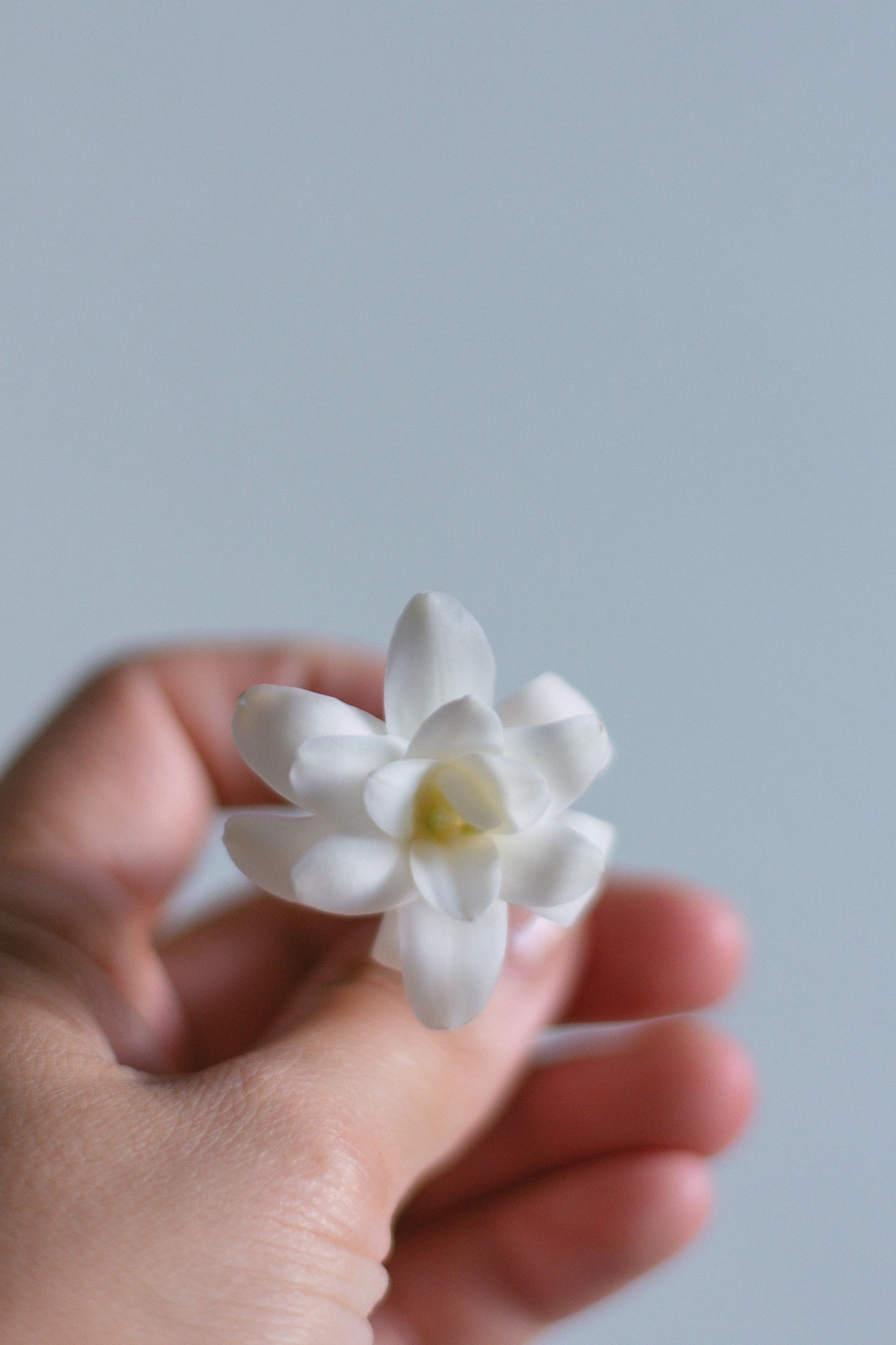 Perfume botánico | Nardo, Coco, Azahar