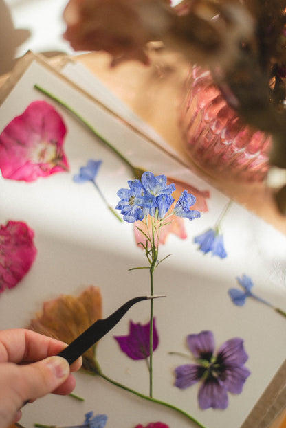 Prensa botánica mediana