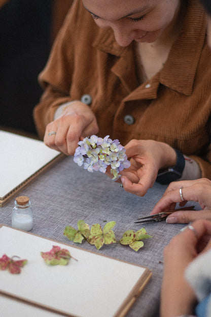 Taller presencial de prensado botánico | Sábado 22 de junio, Temuco