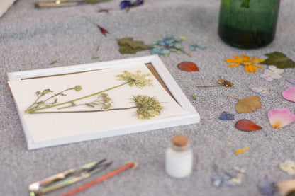 Taller presencial de prensado botánico | Sábado 22 de junio, Temuco