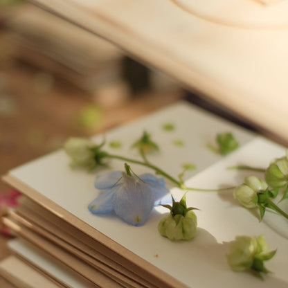 Taller presencial de prensado botánico | sábado 21 de marzo, Vitacura