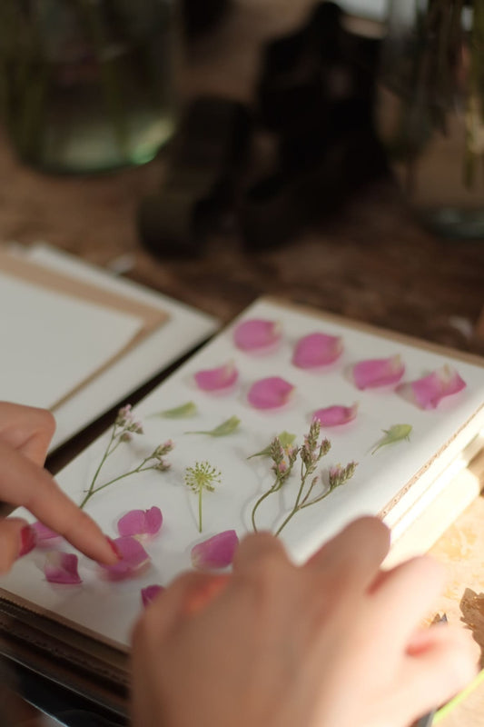 ¡último taller del año! Taller presencial de prensado botánico | sábado 6 de diciembre, Vitacura