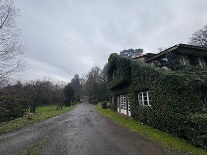 Taller presencial de prensado botánico |  10 de octubre, Osorno